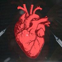 âm thanh gốc - Cute girl