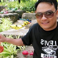 original sound - ဟန်နိုင်းစစ်