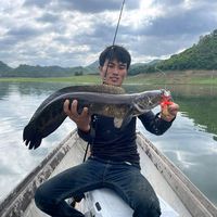 เสียงต้นฉบับ - # ☆หมาป่าเดียวดาย☆♡🦮♡