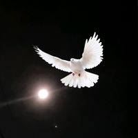 เสียงต้นฉบับ - ..ในสายลม..