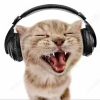 original sound - korilunaaaaa