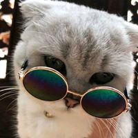 suara asli - Rezaboy