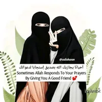 original sound - nafa_3112