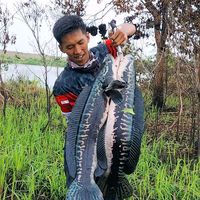 lianpetok