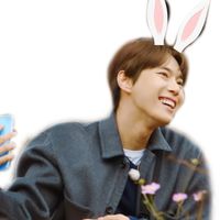 koochiwitjd