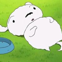 pi._.chaa