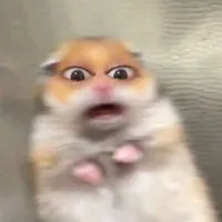 original sound - patrickprinze