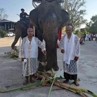 original sound - stn867