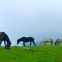 original sound - ghumantegroupbhojpur