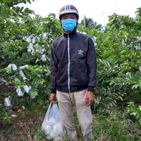 nhạc nền - phuongan2012✅