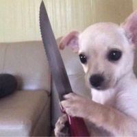 เสียงต้นฉบับ - JTYN