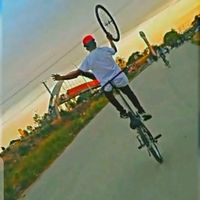 shajikingof