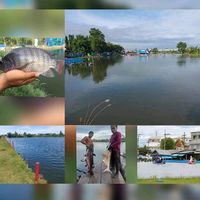 เสียงต้นฉบับ - บ่อตกปลาสรณัฐ sorrento fishing