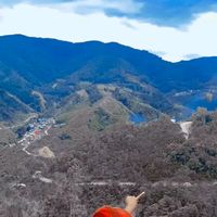 suara asli - ULLO cinta diteh Sayori 💓💓