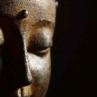 thamma_0808