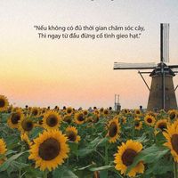nhạc nền - Hạt Giống Chữa Lành