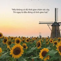 original sound - hatgiongchualanh