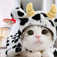 original sound - fancamღ