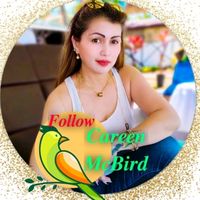 original sound - IG: Careen McBird