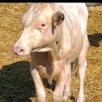 elnuevomundoomundonuevo4