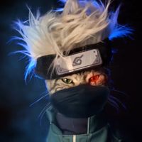meaulmeaul