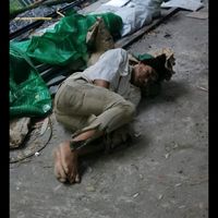 เสียงต้นฉบับ - เฮียเอ๋อพาร้อง