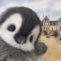 原聲 - KT_楠夕🦄