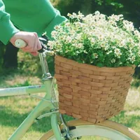 original sound - introwings