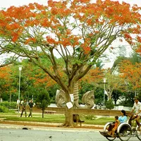 original sound - user2llkmlef01