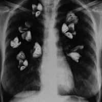 original sound - styazzx