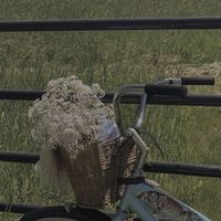 សំឡេងដើម - <3....