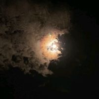 storyvibes99_