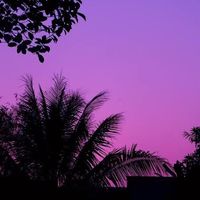 imsorry_29