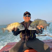 nhạc nền - Câu Cá Hạ Long