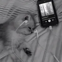 original sound - _.music_.is._life._