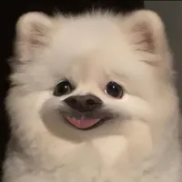 original sound - pibe_pompom
