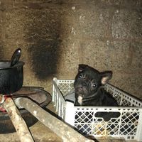 nhạc nền - hung-12