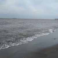 suara asli - fitriahiyah489