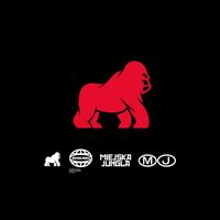 miejskajungla.team
