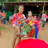 witthayawat_