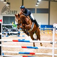 pol_cavallo