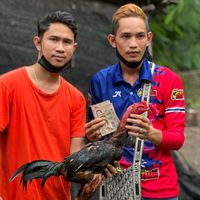 boysamsod252720