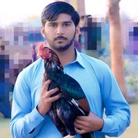 atiq.mianwali7940