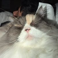 iamjuvymp